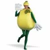 Lemon Costume Adult