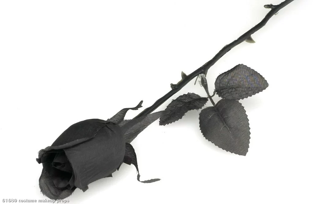 Black Rose 1 Black Rose