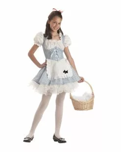 Storybook Sweetheart Costume For Tween